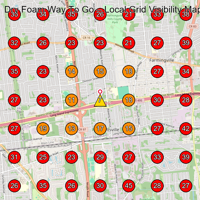 Dry Foam Way To Go GeoGrid visibility map for Carpet Cleaning Service in None